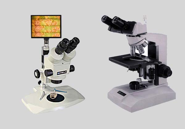Compound Microscope or Dissecting Steroscope